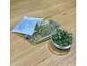 ※期間限定※【ハーブ蒸し】にハマった方必見！