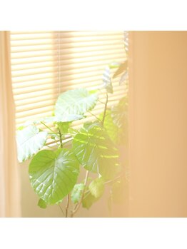 コーヨー ラッシュアンドブロウスタジオ(KOYO Lash&Brow Studio)/