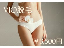 ピュアミントの雰囲気(《女性/パーツ》VIO脱毛)