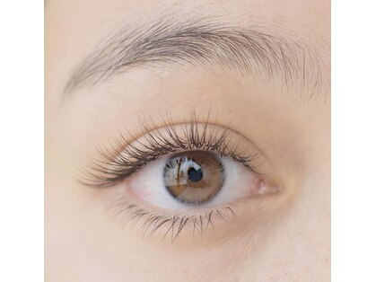 デイシー アイラッシュ(DEICY EYELASH)の写真