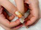 3Dネイル/フラワーネイル/和風