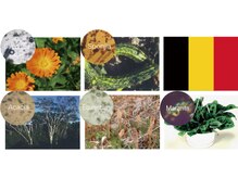 パシュ/天然【2Bバイオトリートメント】