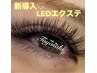 【最新LED導入♪】濃さ/持続力ナンバー1☆100束￥11300→￥10200