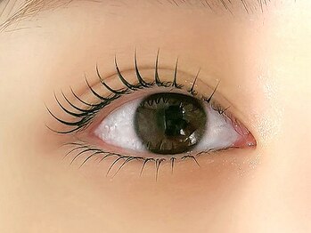 リファーレ 代々木(RIFARE)/上下まつげパーマ[代々木マツパ]