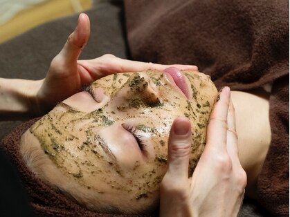 モルフォ(Morpho.)の写真