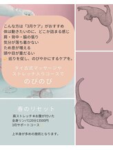 ブルーム(B.LOOM)/春のおすすめコース