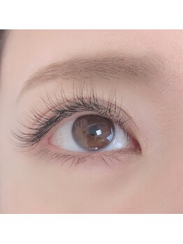 テナン(Tenang)/高級セーブル120本6000円