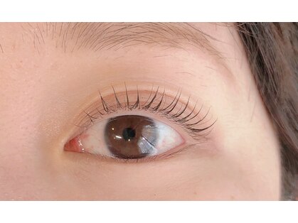 ルミナスアイ(Luminous Eye)の写真