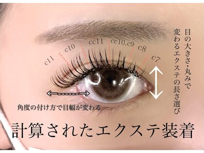 モーブ(mauve)の写真