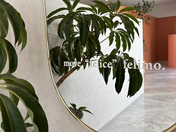 ミミン バイ フェリモ(mimin.by felimo)/【mimin's Photo spot】