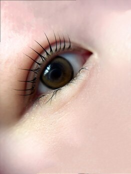 アイモア 吉祥寺店(eye mor.)/まつげパーマ/眉毛/アイブロウ