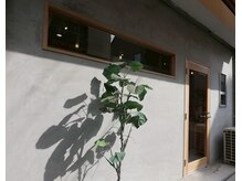 プルズアイラッシュ バイ リコモ(Pulls eyelash By LikkleMore)