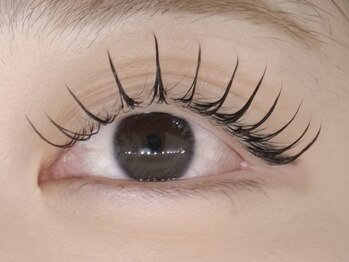 デジール/フラットラッシュ140本