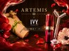 ◎60分コース★ARTEMISとIVYコラボメニュー♪38,300円→32,800円