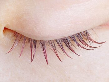 クラリスバイネオ 武蔵小杉(Claris by neo)/モーヴピンク＋ブラウン140本