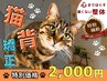 残り5名【猫背・反り腰でお悩みの方】　　　姿勢改善コース