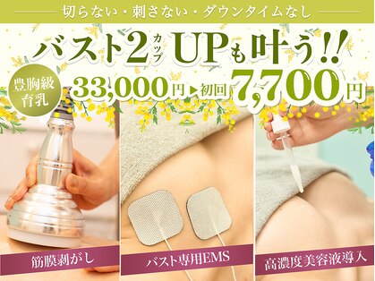 美人バスト 旭川店の写真