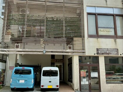 アロエ(Aloe)の写真