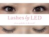 【LED5週以内】ダブルWフラットラッシュ≪ 100束≫オフ込み