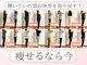 カイト(Kaito)の写真