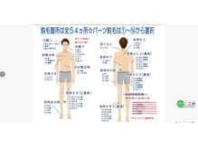 ブルーローズ(BLUE ROSE)/都度払い脱毛/男性２０パーツ
