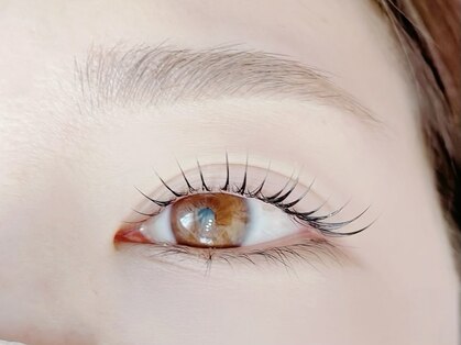 ジョリ アイラッシュ(Jolie eyelash)の写真