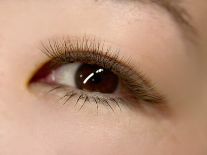 ソワ(soi.)の写真