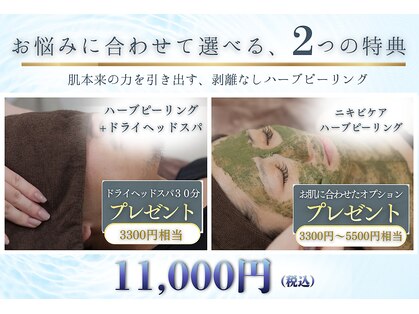エレナ(ELENA)の写真