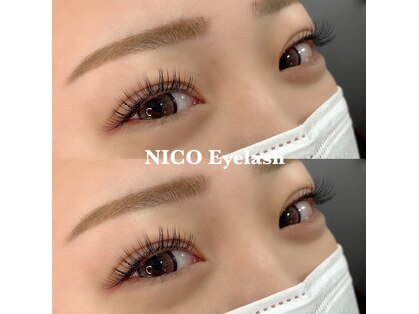 ニコ(NICO)の写真