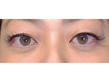 ジャポネスク(JAPONESQUE)/セーブルつけ放題