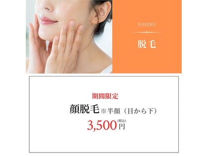 ハリルの写真