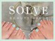 ソーヴ(SOLVE)の写真