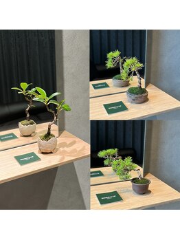 リノア(L'INOA...)/店内の空間も楽しめます★