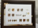 ネイル秋、冬の新色