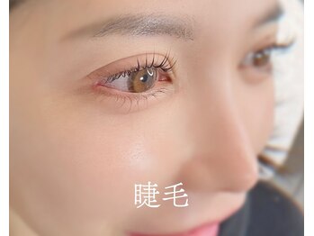 981/ 本町｜まつげパーマ（パリ）