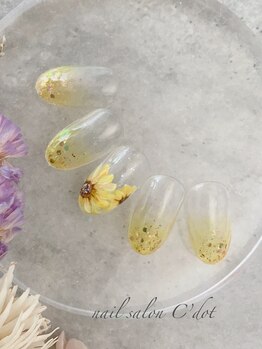 シードット(Cdot)/ひまわり