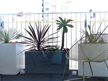 サロン ド ラリュール(Salon de L'Allure)/癒しの空間