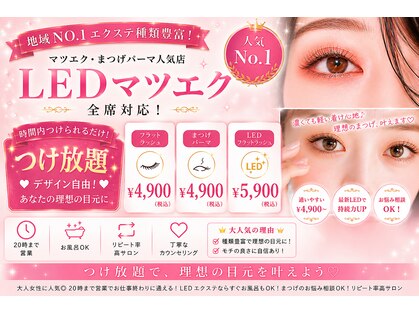 ハナ(hana)の写真