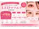 ハナ(hana)の写真
