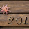 アイラッシュサロン ソル(SOL)のお店ロゴ