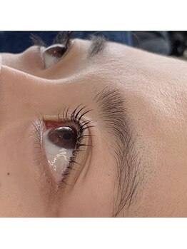 メロウリリィ(mellow lily)/