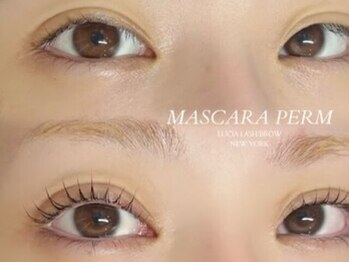 ルシアラッシュブロウ 新宿(LUCIA LASH BROW)/マスカラパーマで束感UP!