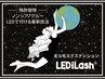 ３種類のLEDから選べる★世界特許のLEDで付けるノンシアノまつ毛¥4400→¥2200