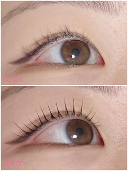 ノエル 下北沢(Noel)/マイラミネーション/マツパ