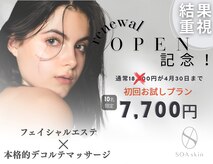 ソアスキン(SOAskin)