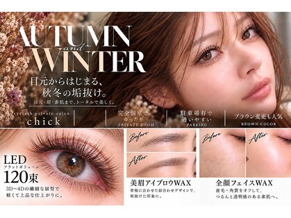 チック(chick)の写真