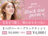 《新規限定》★新メニュー★【マスカラパーマ】￥6000→￥4000