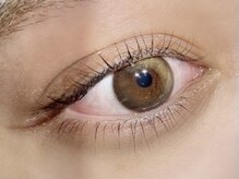 ザ コースト バイ ネオリーブ(The coast by neolive)/上下パリジェンヌラッシュリフト