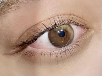 ザ コースト バイ ネオリーブ(The coast by neolive)/上下パリジェンヌラッシュリフト