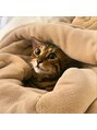 ニコルビューティー 高槻 南平台店(NiKOR beauty)&nbsp;我が家の猫ちゃん=(^.^)=